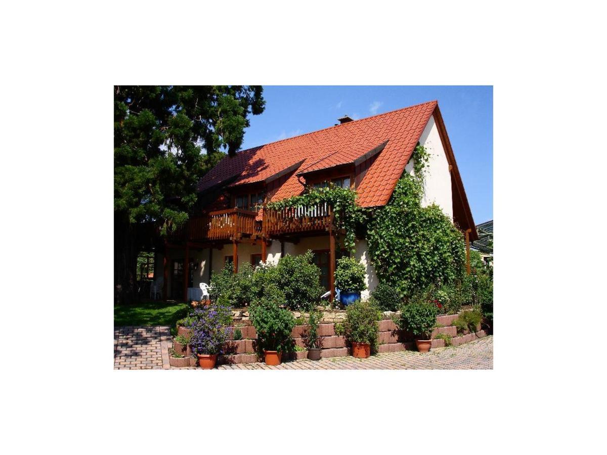 Gaestehaus Hellmer Neustadt an der Weinstrasse Exterior photo